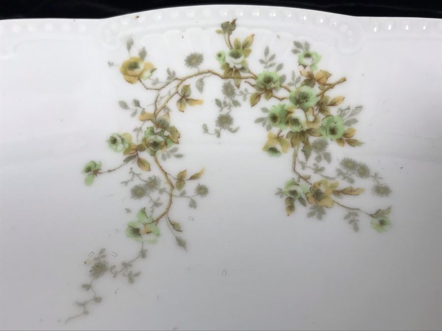 Hand Painted Limoges Bassett Austria Oval Serving Platter [Photo 3]