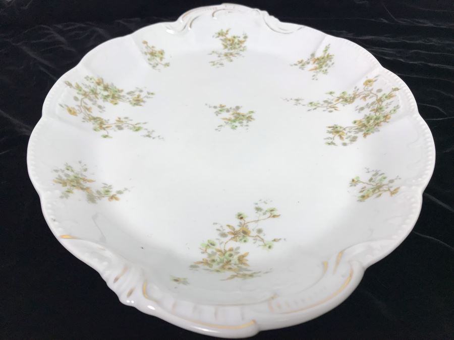 Hand Painted Limoges Bassett Austria Oval Serving Platter [Photo 8]