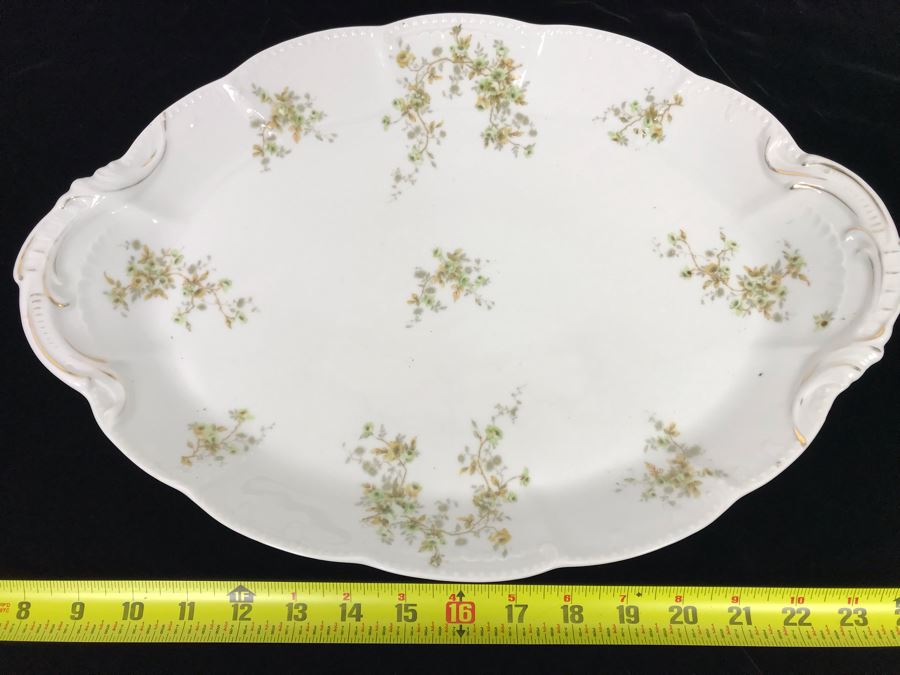 Hand Painted Limoges Bassett Austria Oval Serving Platter [Photo 2]