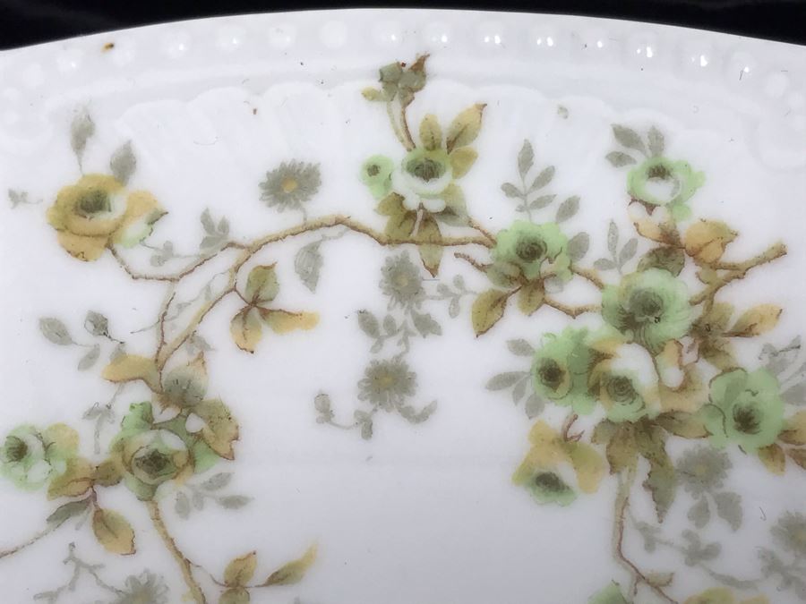 Hand Painted Limoges Bassett Austria Oval Serving Platter [Photo 4]
