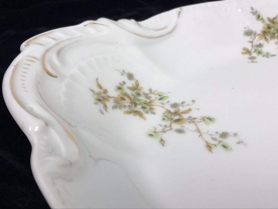 Hand Painted Limoges Bassett Austria Oval Serving Platter [Photo 7]