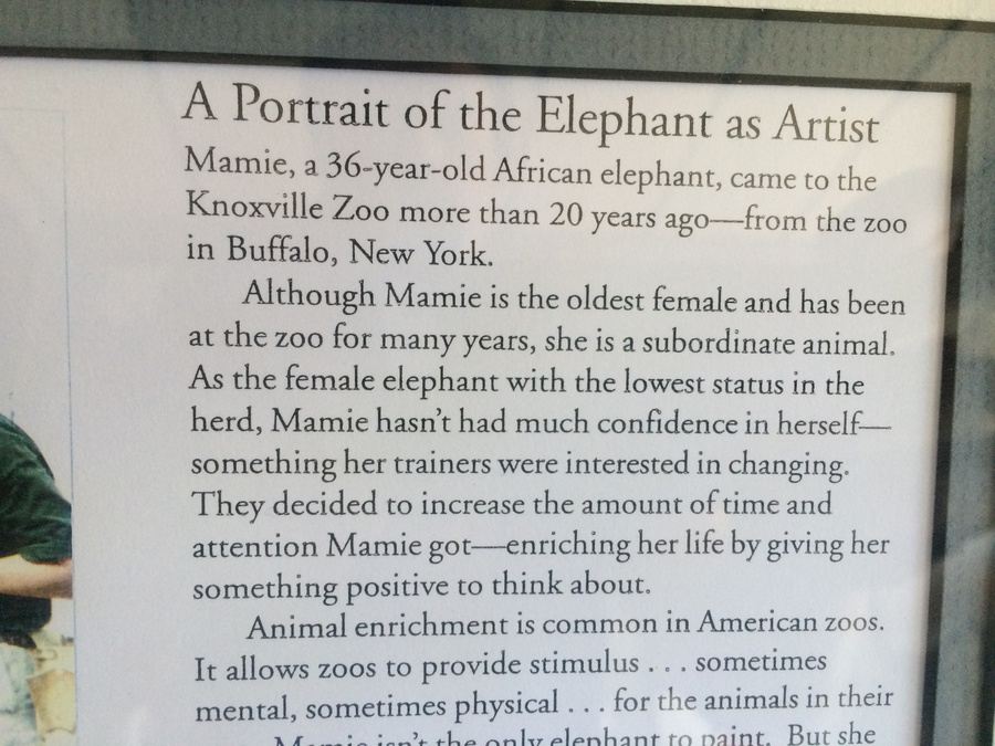Original Art Painted by an Actual African Elephant (Mamie) [Photo 4]