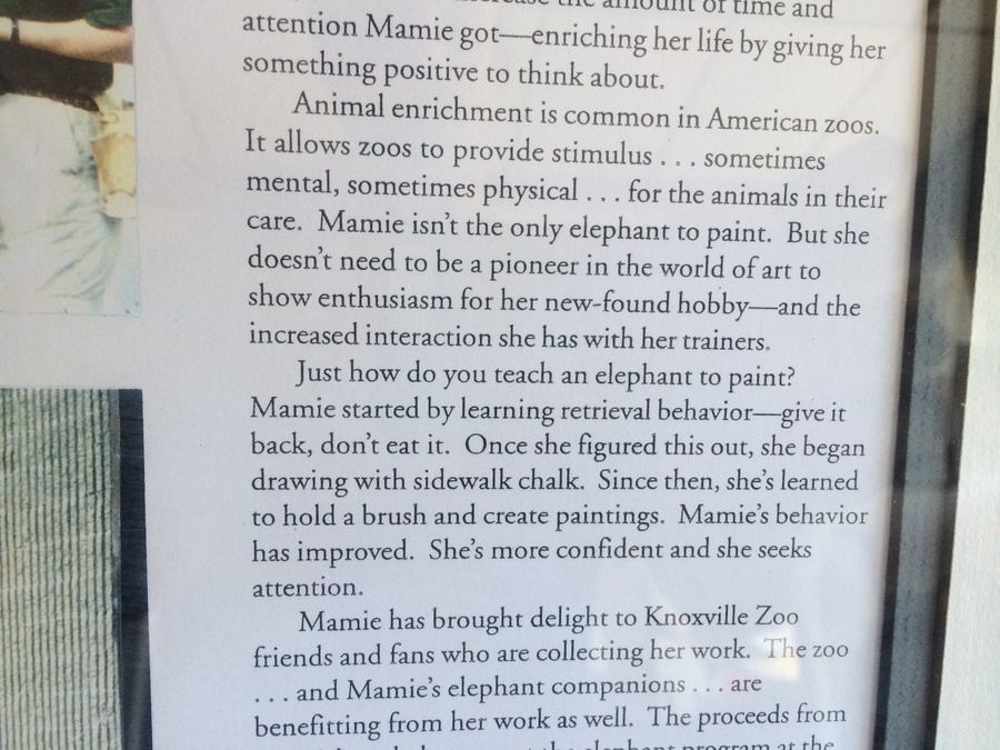 Original Art Painted by an Actual African Elephant (Mamie) [Photo 5]