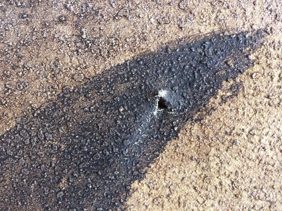 Original Large Architectural Painting - Vico De Luigi Venezia [Photo 8]