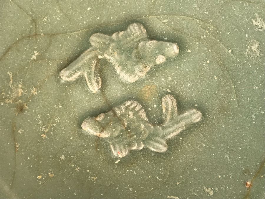 Old Chinese Longquan Celadon Two-Fish Porcelain Bowl 8W X 1.75H [Photo 4]