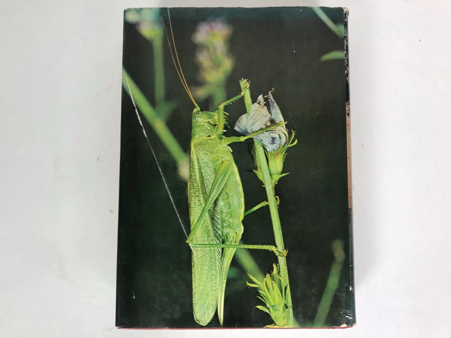 Larousse Encyclopeia Of Animal Life Book Fourth Impression 1971 [Photo 11]