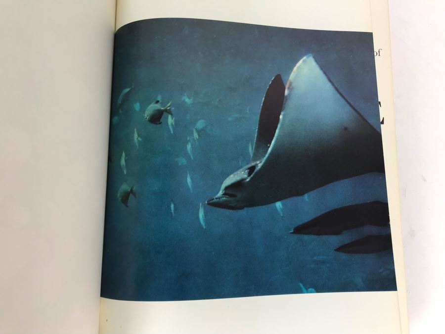 Larousse Encyclopeia Of Animal Life Book Fourth Impression 1971 [Photo 3]