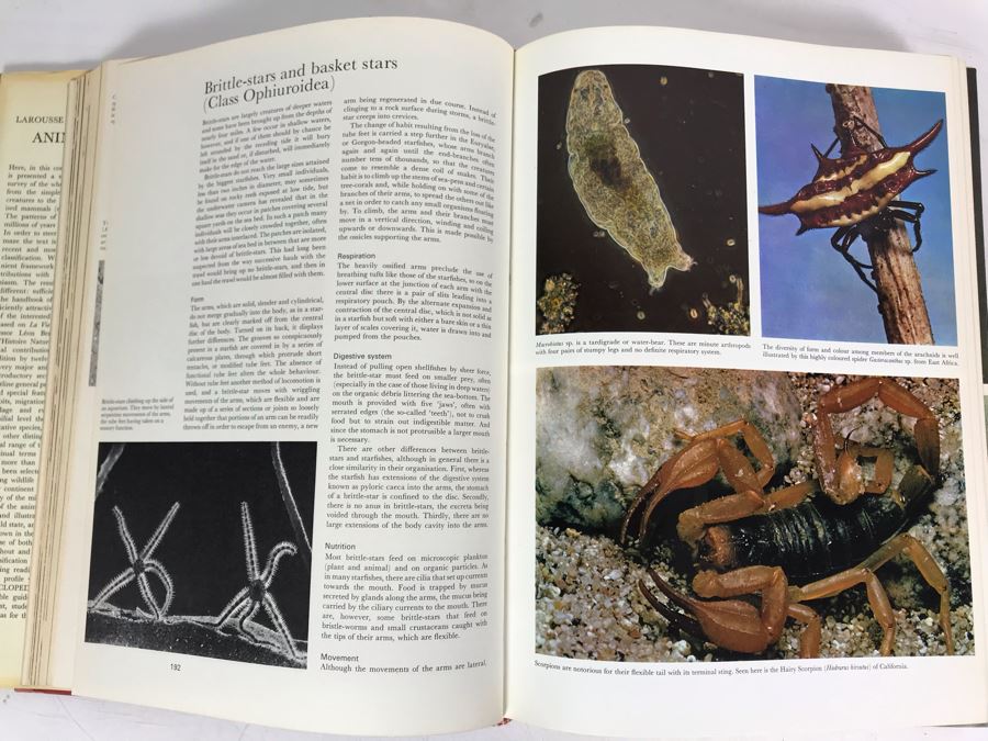 Larousse Encyclopeia Of Animal Life Book Fourth Impression 1971 [Photo 6]