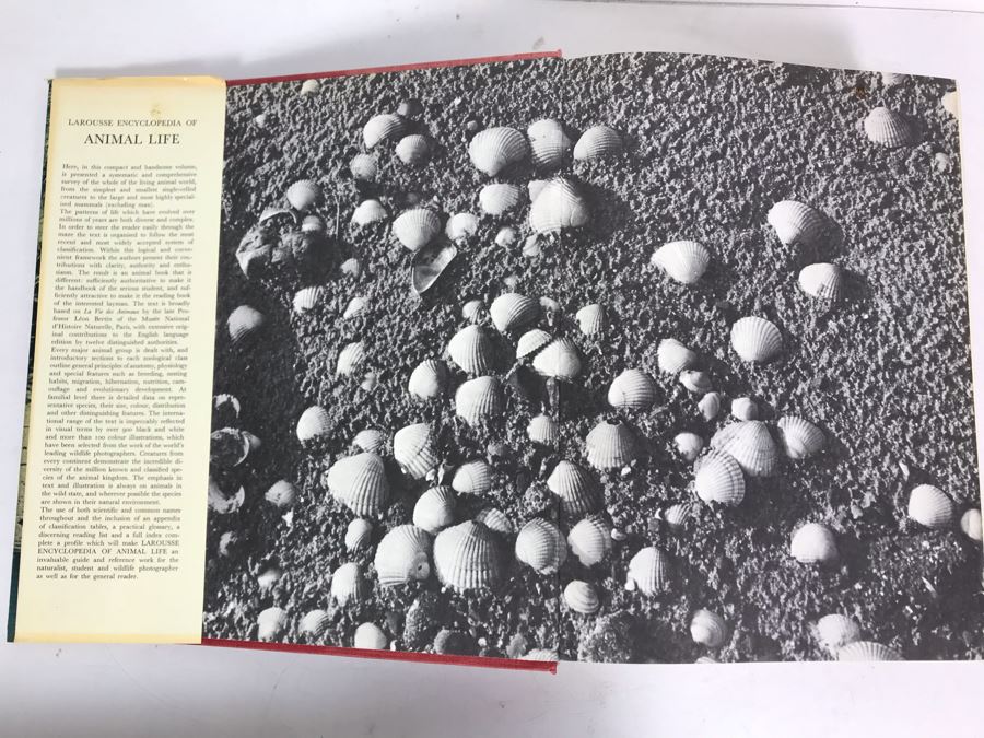 Larousse Encyclopeia Of Animal Life Book Fourth Impression 1971 [Photo 2]