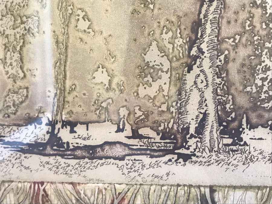 Vintage 1974 Limited Edition Hand Signed Etching By Maidy Morhous Titled 'Resurgence' Depicting Trees And Roots Framed 28 X 34 [Photo 13]