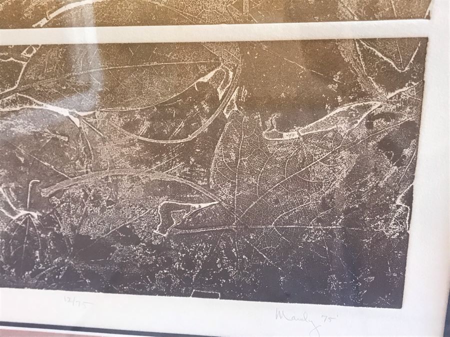 Vintage 1974 Limited Edition Hand Signed Etching By Maidy Morhous Titled 'Autumnal' Depicting Trees And Fallen Leaves Framed 25.5 X 32.5 [Photo 7]