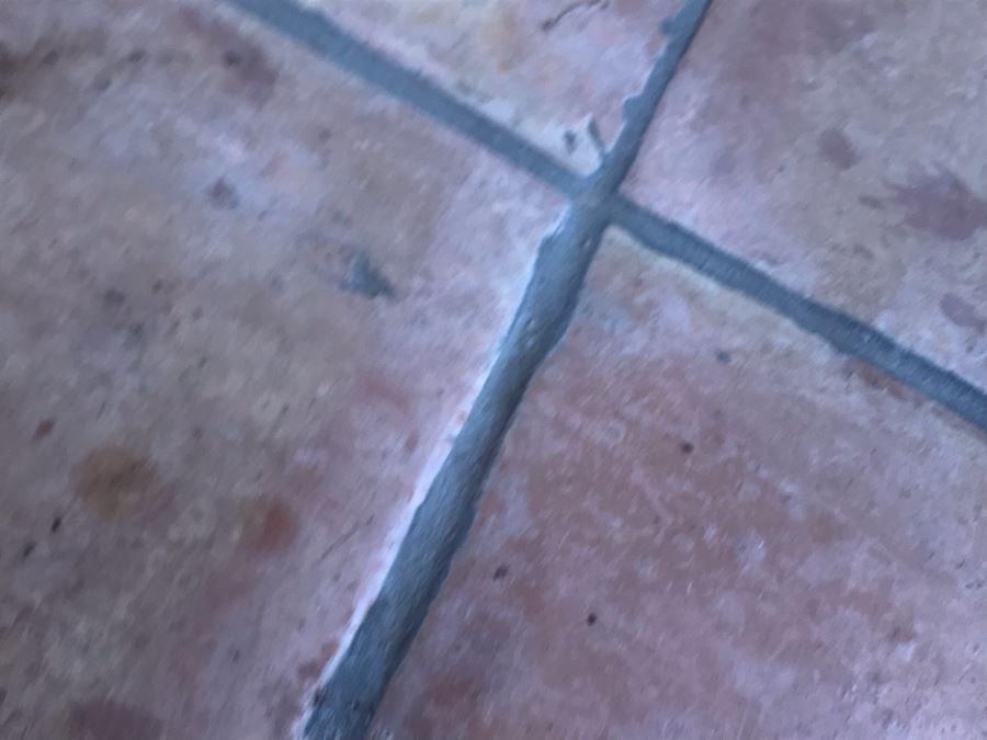 Vintage 1974 Limited Edition Hand Signed Etching By Maidy Morhous Titled 'Autumnal' Depicting Trees And Fallen Leaves Framed 25.5 X 32.5 [Photo 9]