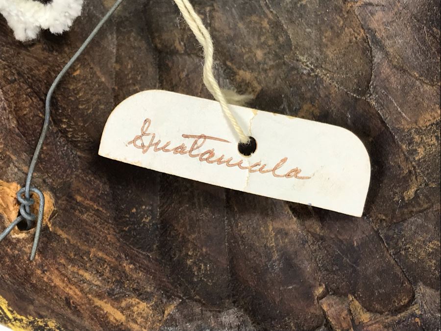 Vintage Hand Carved Hand Painted Mask From Guatemala 7'W X 10'H X 3.5'D [Photo 8]