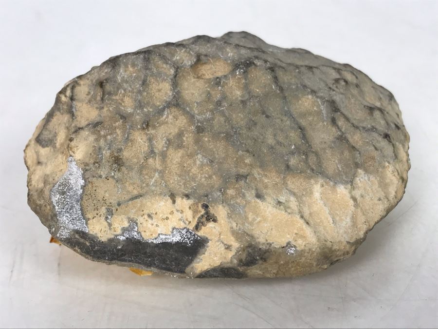 Hand Chipped Piece From Top Of The Masada Ancient Fortress In Israel's Judean Desert Overlooking Dead Sea [Photo 6]