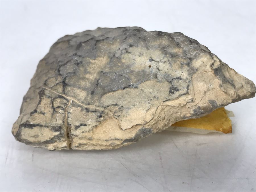 Hand Chipped Piece From Top Of The Masada Ancient Fortress In Israel's Judean Desert Overlooking Dead Sea [Photo 5]