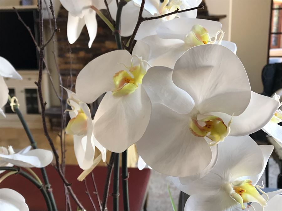 Artificial Orchid Plants 15W X 32H [Photo 7]