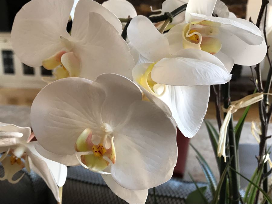 Artificial Orchid Plants 15W X 32H [Photo 6]