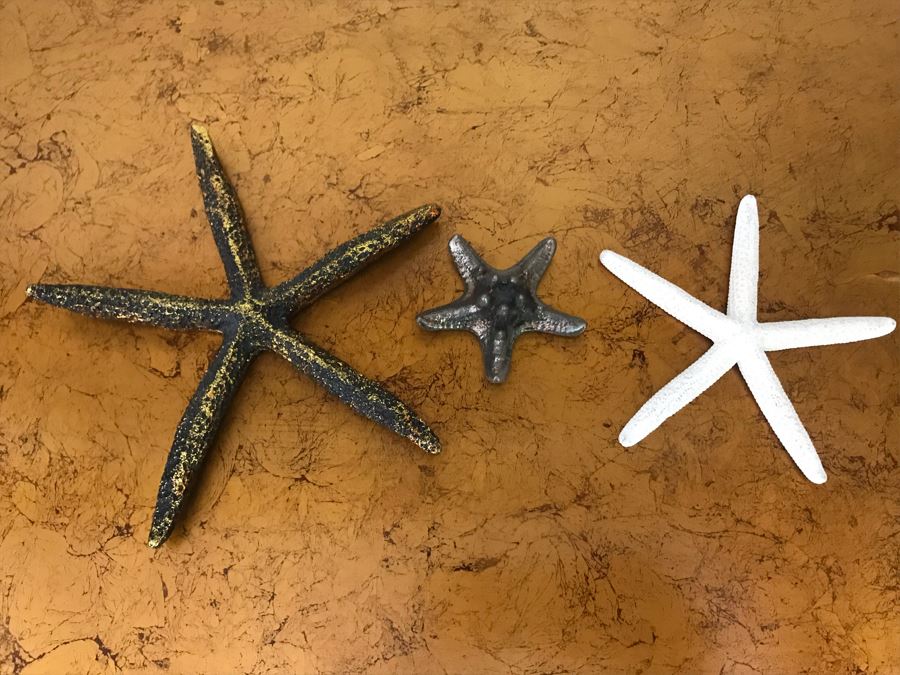 Decorative Starfish Decor [Photo 1]