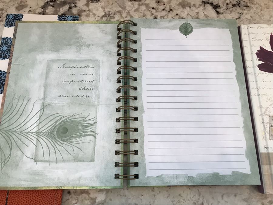 Various Journals Notebooks Lot (9 Items) [Photo 11]