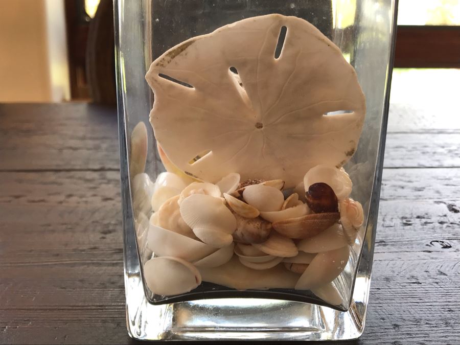 Glass Vase With Various Organic Seashells 4W X 6H [Photo 6]