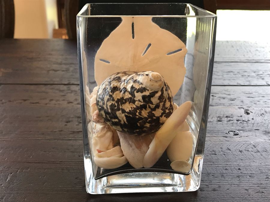 Glass Vase With Various Organic Seashells 4W X 6H