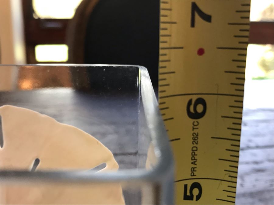 Glass Vase With Various Organic Seashells 4W X 6H [Photo 9]