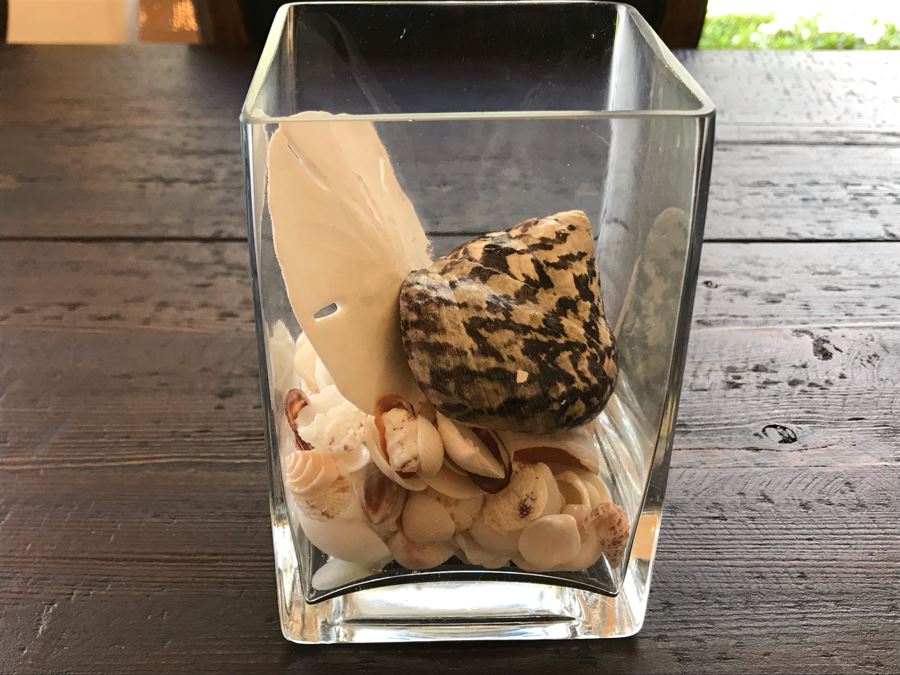 Glass Vase With Various Organic Seashells 4W X 6H [Photo 4]