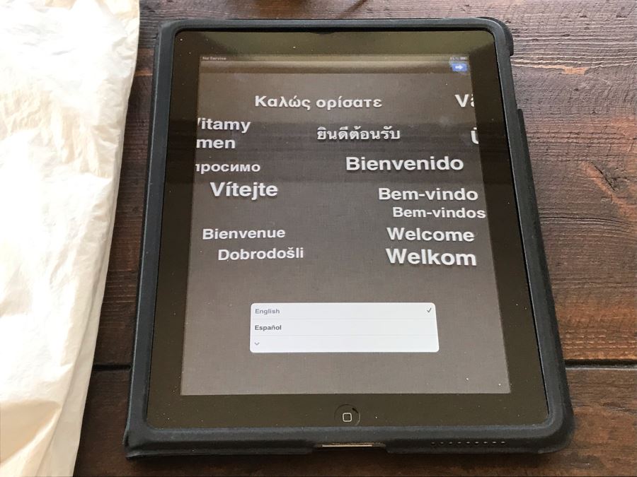 Early 16GB iPad Model A1337 (Cleaned) [Photo 3]