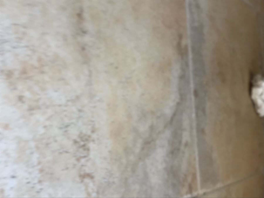 Original Jean Klafs Painting On Paper Titled 'Trees Shoud Grow From Trunk' Moore's Design 1954 20 X 20 [Photo 19]