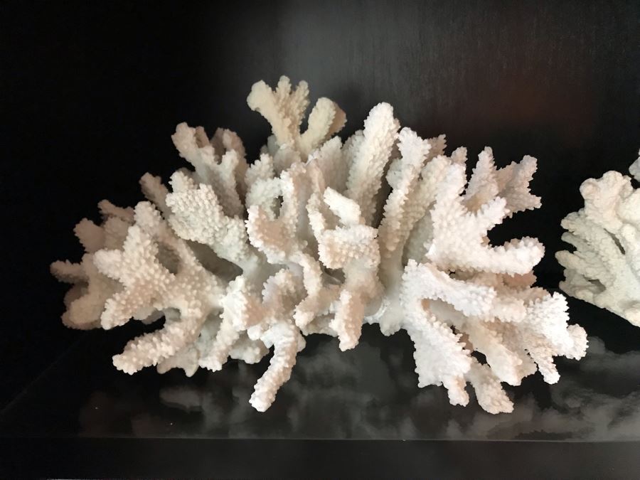 Pair Of Faux Coral Sculptures   38411 Rxx4 