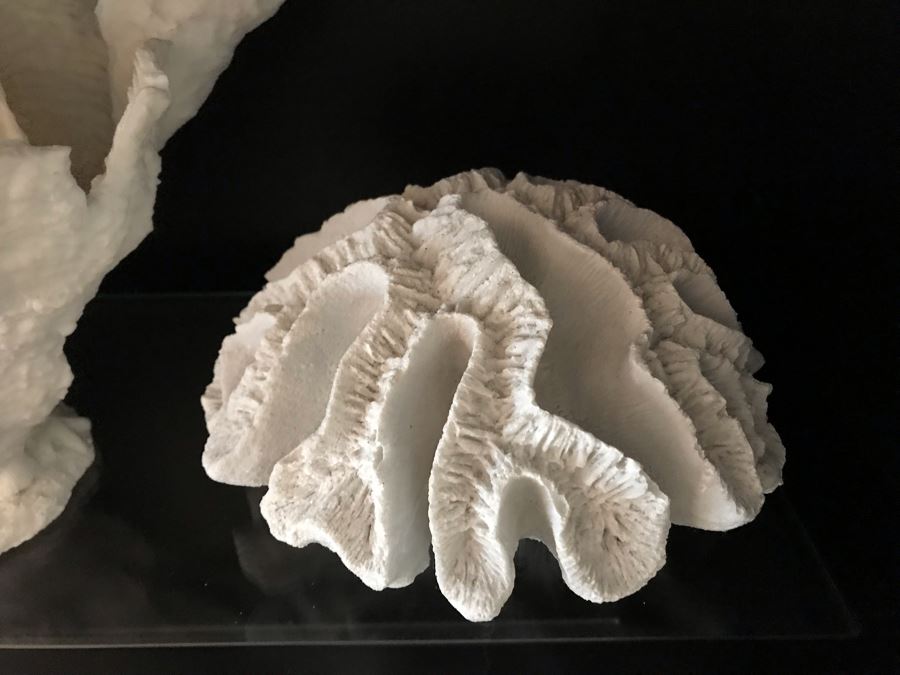 Pair Of Faux Coral Sculptures (Larger Is 14W) [Photo 5]