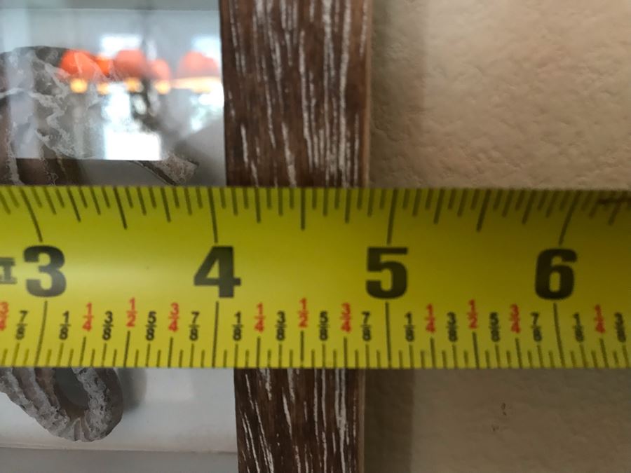 Wall Decor: Shell, Seahorse, Life Preserver Ring Shadowbox Framed 5W X 24H [Photo 7]