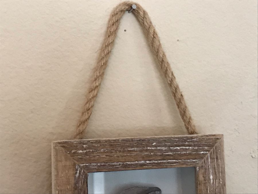 Wall Decor: Shell, Seahorse, Life Preserver Ring Shadowbox Framed 5W X 24H [Photo 6]