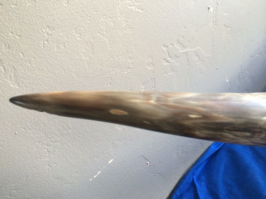 Mounted Wall 5' 2' Horns Longhorn Steer Horn with Hooks and Tooled Leather [Photo 4]