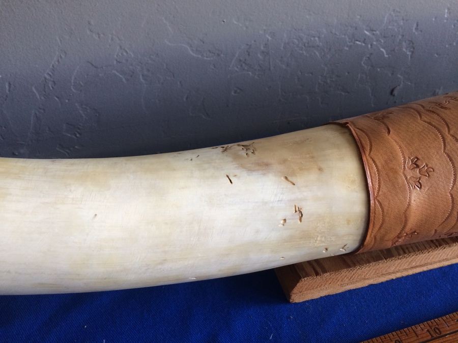 Mounted Wall 5' 2' Horns Longhorn Steer Horn with Hooks and Tooled Leather [Photo 5]