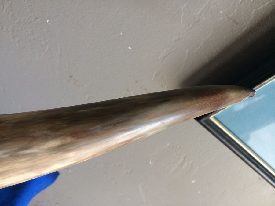 Mounted Wall 5' 2' Horns Longhorn Steer Horn with Hooks and Tooled Leather [Photo 8]