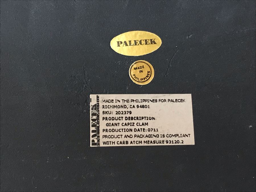 Large Faux Seashell On Stand By Palecek 24W [Photo 9]