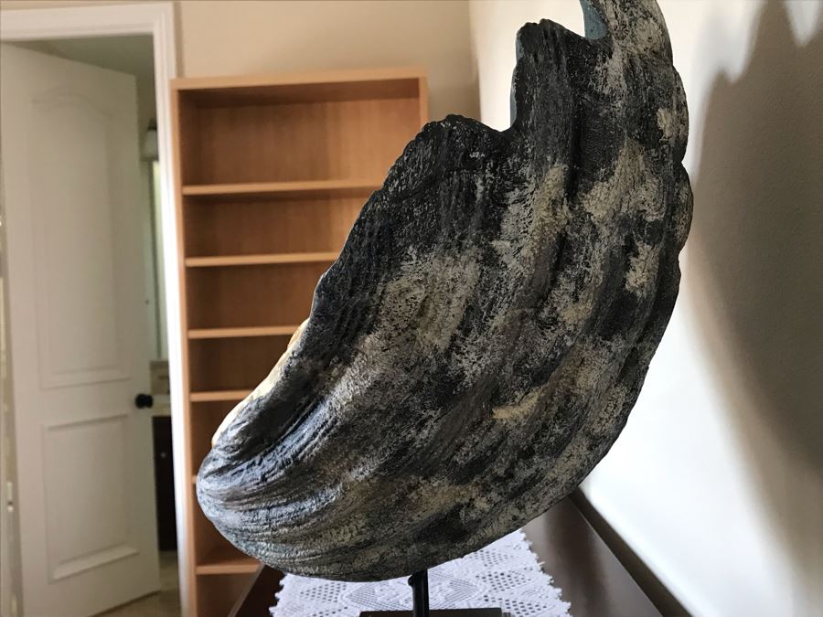 Large Faux Seashell On Stand By Palecek 24W [Photo 5]