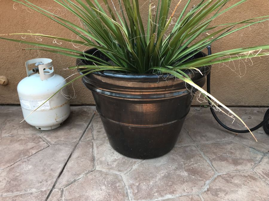 Large Potted Plant 28W [Photo 3]