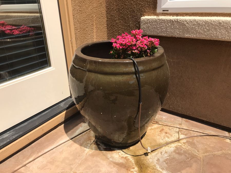 Large Potted Plant In Glazed Pot 24W X 22H [Photo 2]