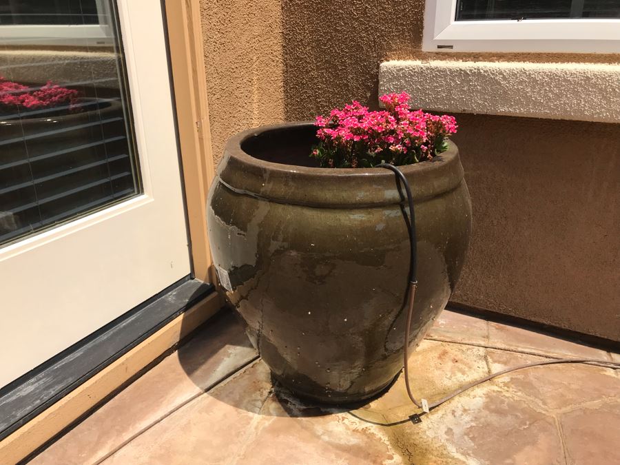 Large Potted Plant In Glazed Pot 24W X 22H [Photo 1]