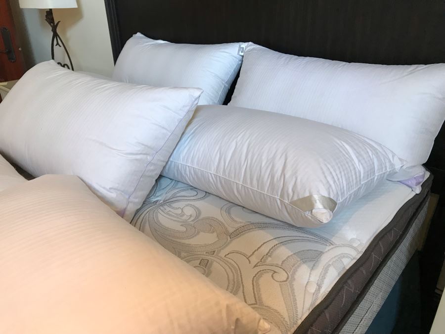 10 Bloomingdale's Down Pillows Lot