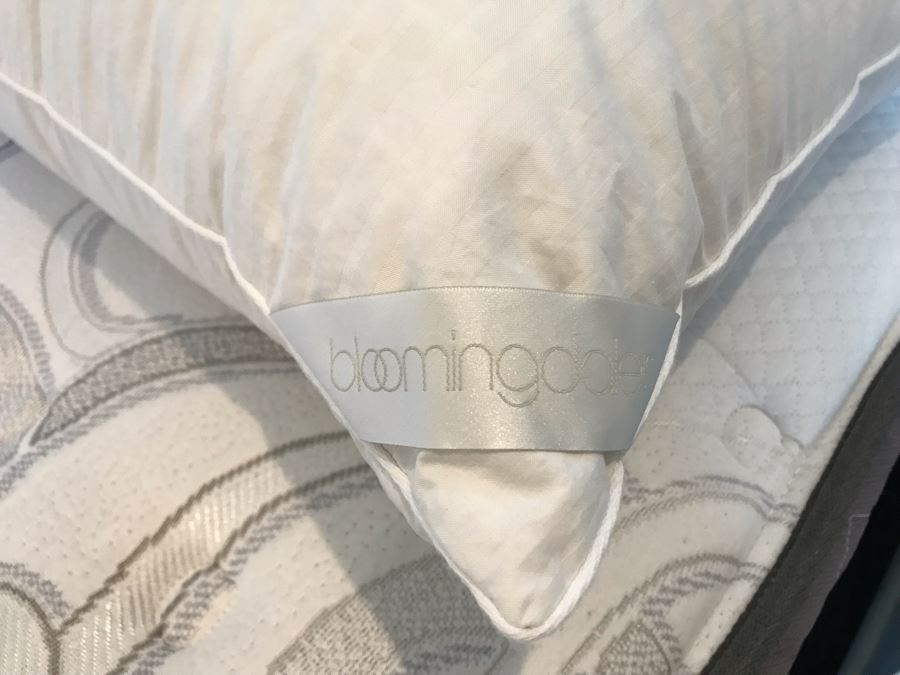 10 Bloomingdale's Down Pillows Lot