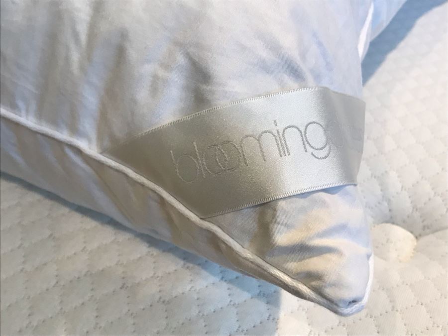 10 Bloomingdale's Down Pillows Lot [Photo 5]