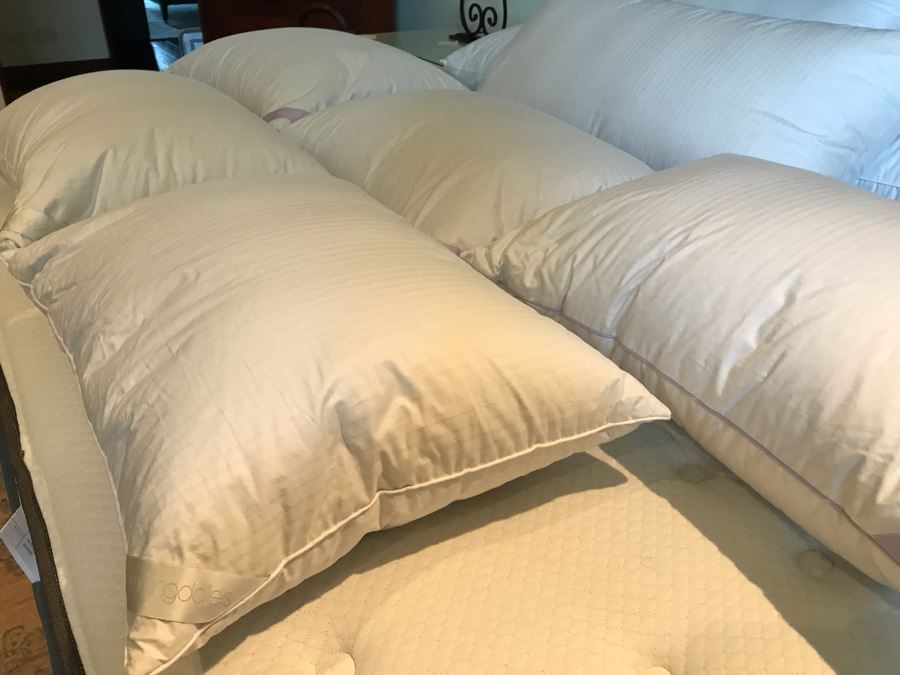 10 Bloomingdale's Down Pillows Lot
