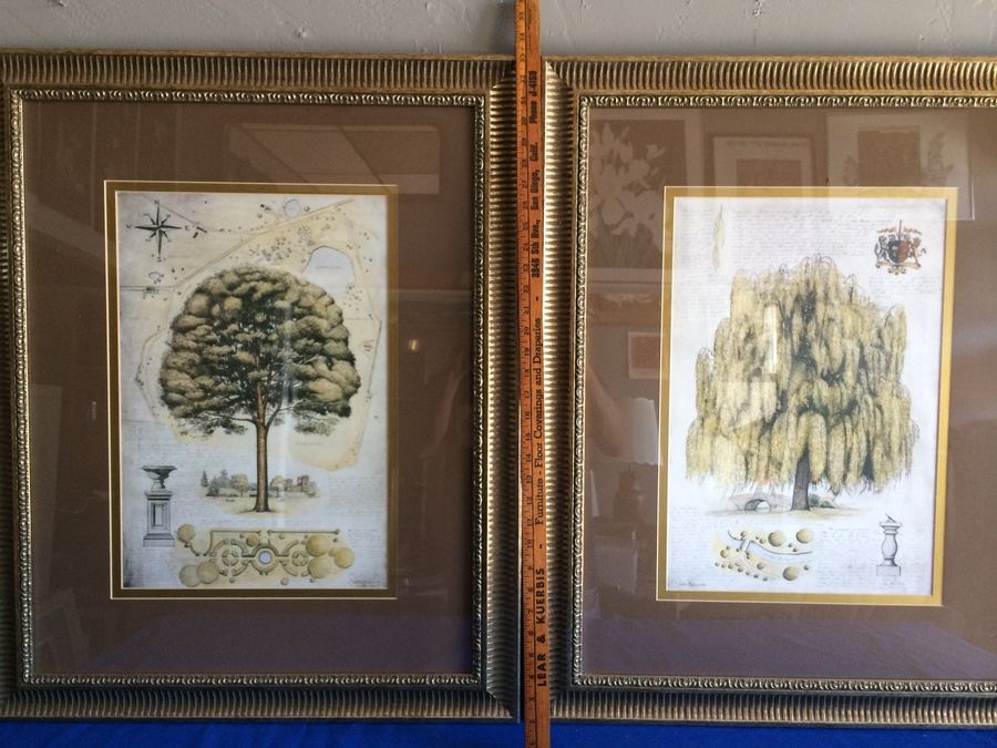 Framed Decorative Tree Prints [Photo 7]