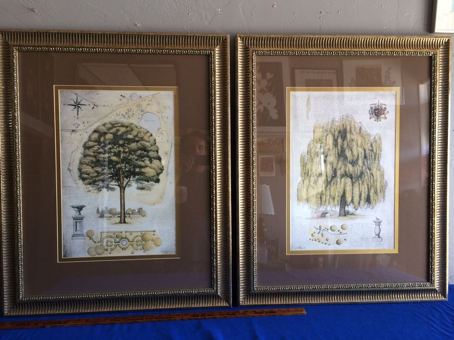 Framed Decorative Tree Prints