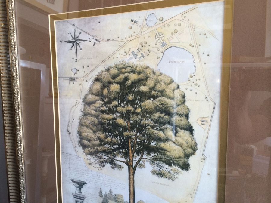 Framed Decorative Tree Prints [Photo 4]