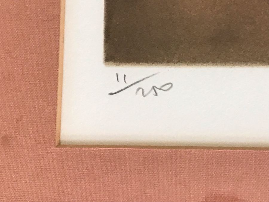 Jean Jacques Balitran Framed Hand Signed Lithograph Titled 'Woman And Dove' 11 Of 250 Appraised $525 In 1986 With Certificate Of Authenticity [Photo 12]