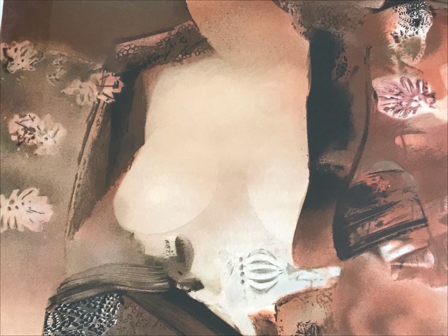 Jean Jacques Balitran Framed Hand Signed Lithograph Titled 'Woman And Dove' 11 Of 250 Appraised $525 In 1986 With Certificate Of Authenticity [Photo 7]